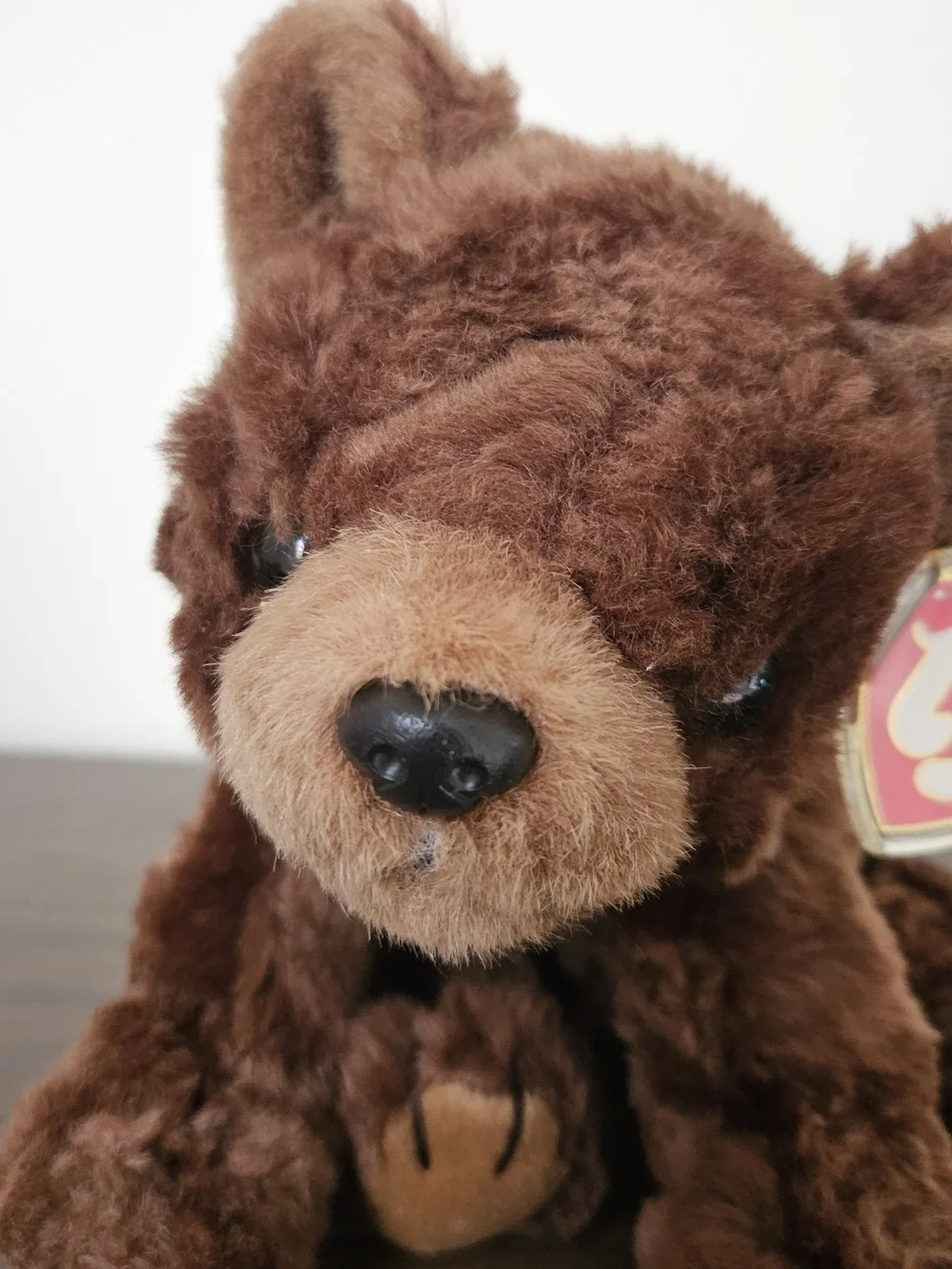 Ty Plush Brown Bear Pet Toy - Dark and Light Brown